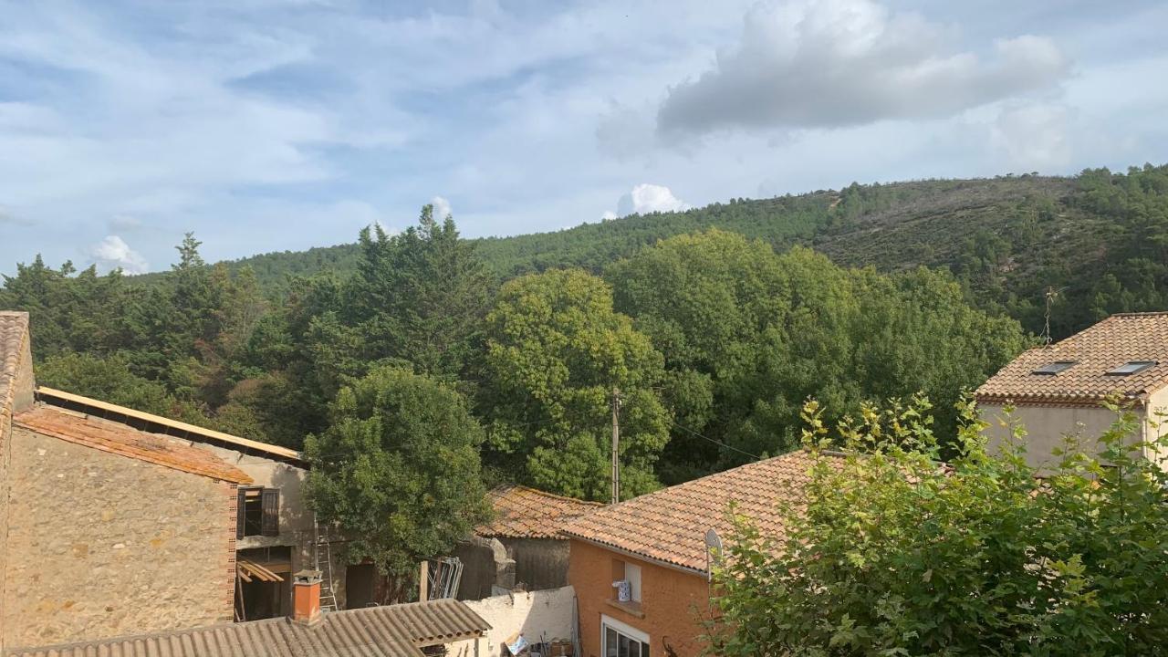 Logis De La Foulerie Bed & Breakfast Bize-Minervois Exterior photo